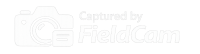 FieldCam logo